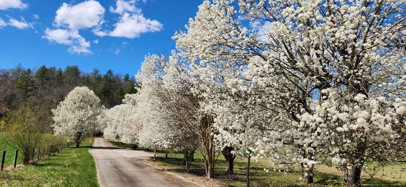 38472f9d-cf2f-4a29-89bb-d3da26ae50e9