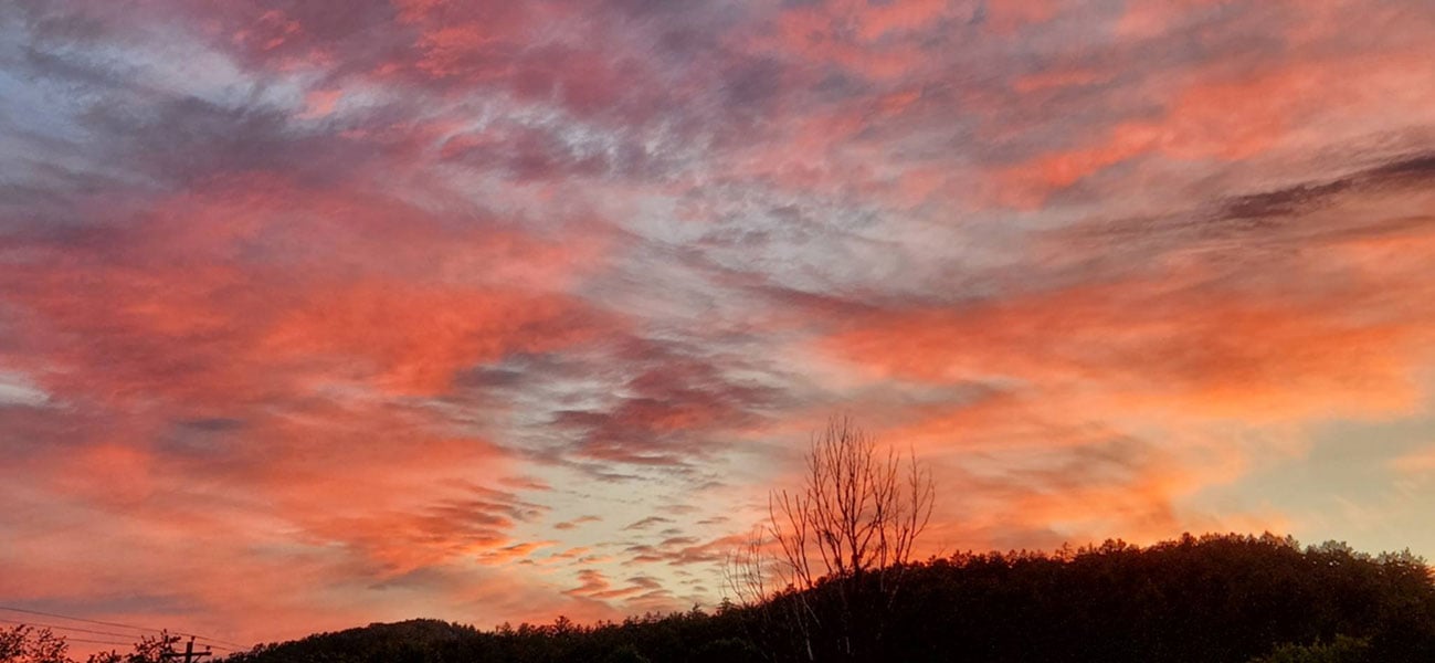 4df55b05-f74d-4813-bd94-455a39a7b3c2