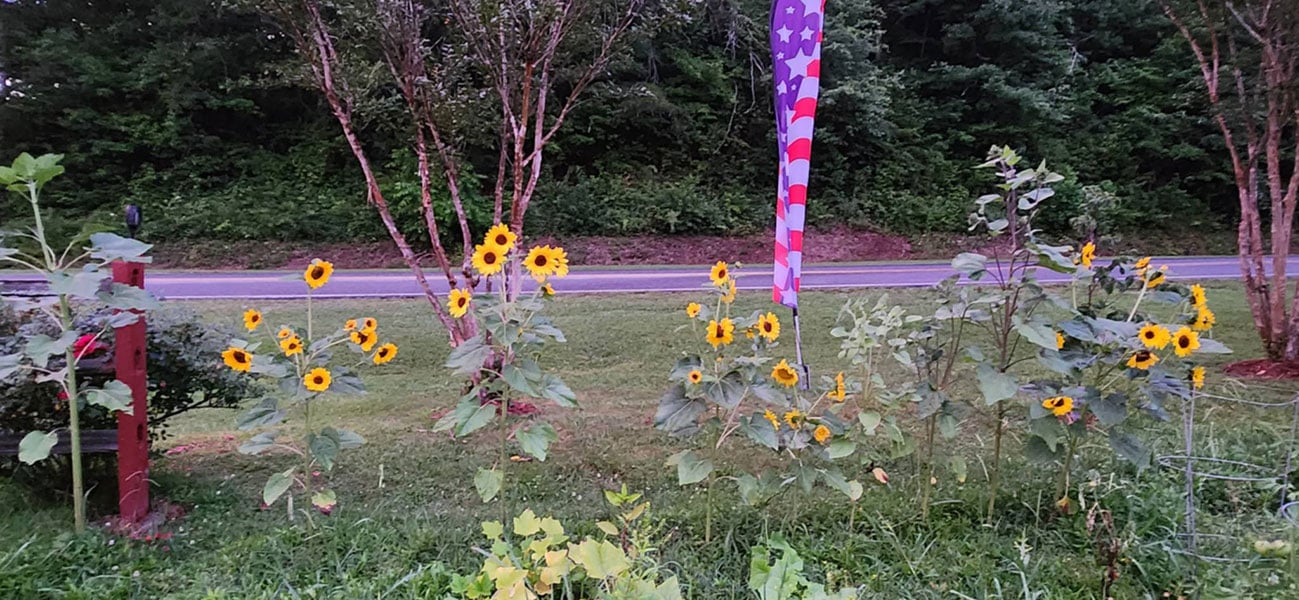 53f2bff1-fc4d-4ab4-92ee-e3711123c278