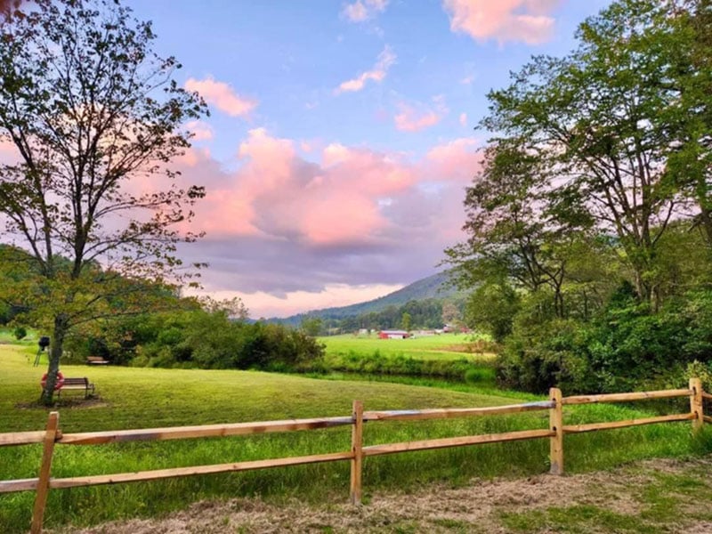 cc7ff6d8-d247-4ddd-8518-9317e94a3b06