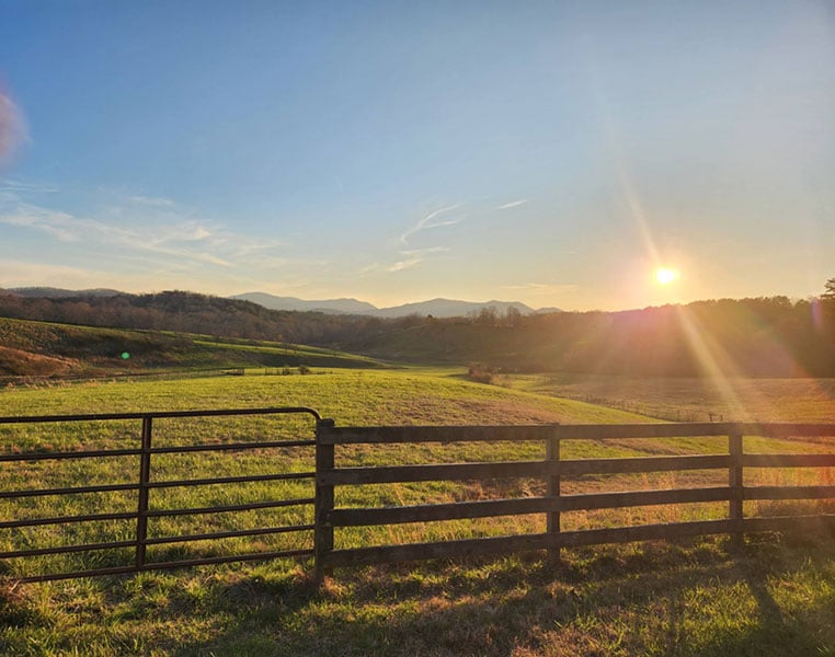 d1134d45-f5c5-48a8-a756-b84ce9f05670