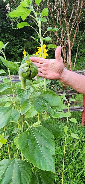 d793747a-cfa8-4c88-9188-115ef67134a9