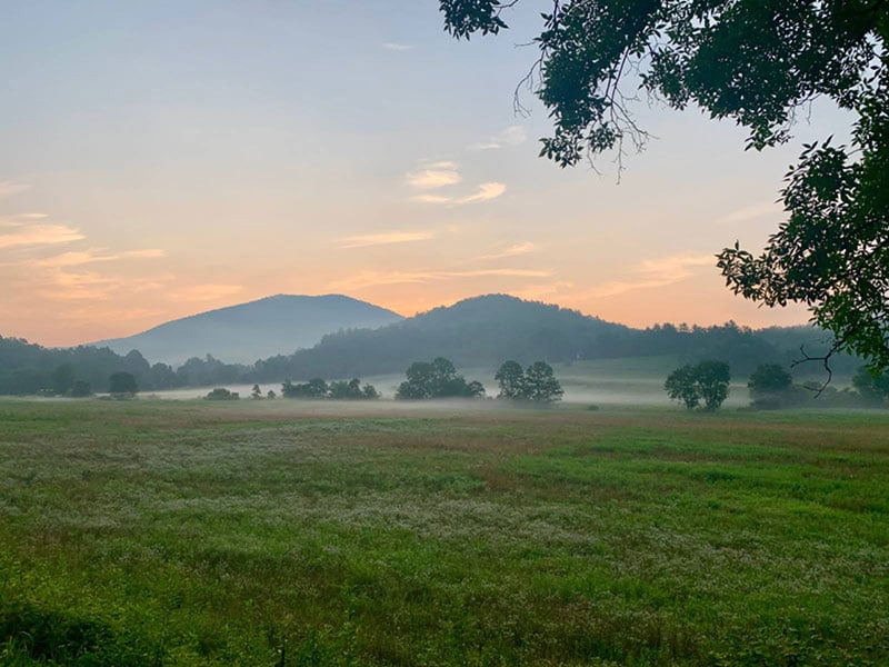 d846a990-9567-4938-86e5-d6c574be839a