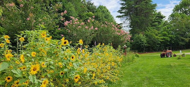 f8fc9fb0-5a9f-4085-8b35-ffb544178691